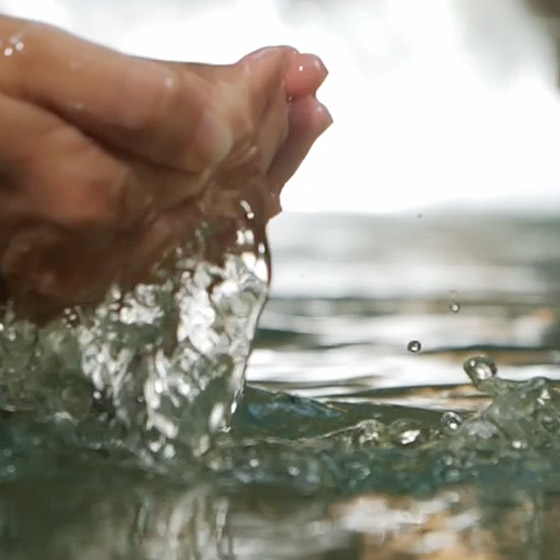 This image for Image Layouts addon